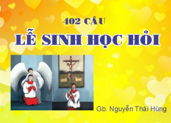 402 câu Lễ Sinh Học Hỏi