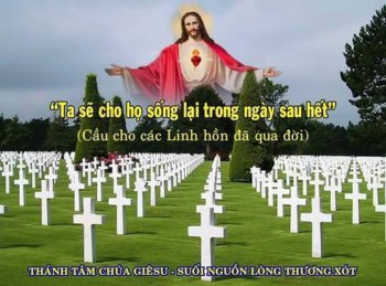 MỘT ĐỜI CẬY TRÔNG