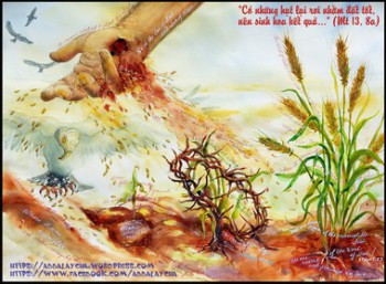 HẠT GIỐNG LỜI CHÚA. (Mt 13 1-9)