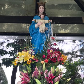 39408142 DTbiC7RmITwAiKrh  GsFosRgTYzfHzvma3QWCsl48g(1)