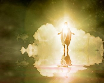 Về miền Ánh Sáng (Ga 9, 38)