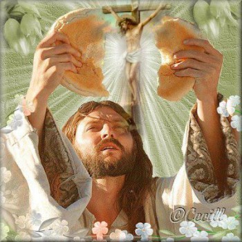 Bánh Trường Sinh (Ga 6, 35)