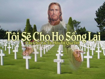 BAO LINH HỒN CẬY TRÔNG