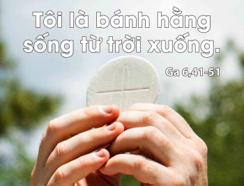 CN  XIX TN B  Ga 6,41 51