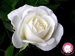 TÂM SỰ VỚI MẸ