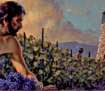 Bội thu hoa lợi (Mt 21,43)