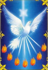 tải xuống (3)(1)