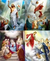 tải xuống (3)(1)