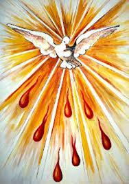 tải xuống (4)(1)