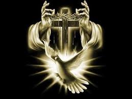 tải xuống (6)(1)