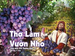 Vườn nho Hội Thánh (Mt 20, 15)