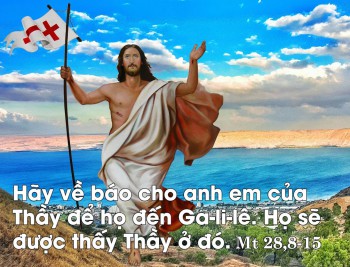 Điểm hẹn Giêsu (Mt 28,7)