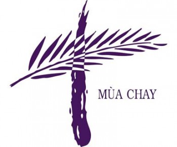 mua chay