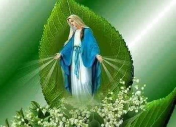 SN Maria f