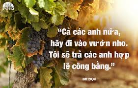 vườn nho