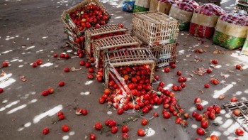 ĐTC: Lãng phí thực phẩm là lãng phí con người