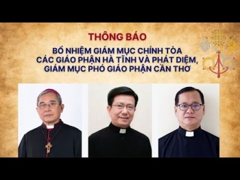 Bổ nhiệm Giám mục Hà Tĩnh, Phát Diệm và Cần Thơ