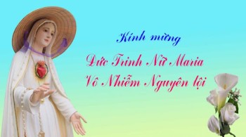 3 cách mừng lễ Đức Mẹ Vô Nhiễm Nguyên Tội