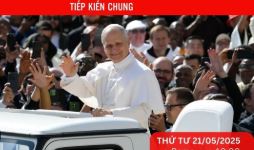 Tiếp kiến chung 21/5/2025