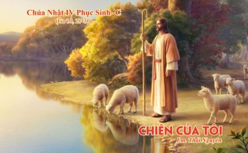 Chiên của Tôi (Ga 10, 27-30)