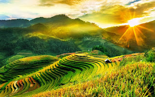 Triết lý (Người ta)