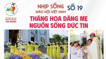 Nhịp sống Giáo hội Việt Nam – Số 19