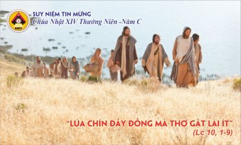 Suy niệm Tin Mừng Chúa Nhật XIV TN-C