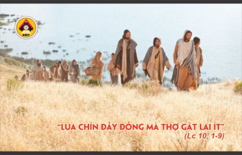Lời Chúa CHÚA NHẬT XIII THƯỜNG NIÊN -C