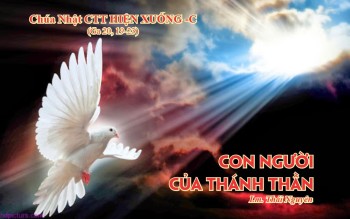 Con người của Thánh Thần (Ga 20, 19-23)