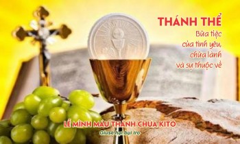 Bài Chia Sẻ Lễ Mình Máu Thánh Chúa -Năm C
