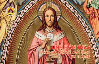 Lời Chúa THỨ NĂM TUẦN 10 THƯỜNG NIÊN