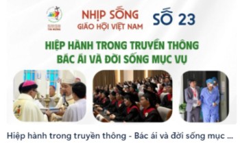 Chuyên mục Nhịp sống Giáo hội Việt Nam -Số 23