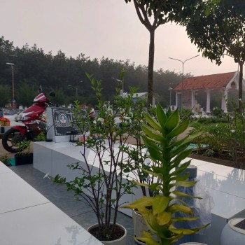 Thinh Lặng Để Khán Phá Tình Phụ Tử