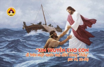Lời Chúa THỨ BA TUẦN 18 THƯỜNG NIÊN