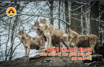 Lời Chúa THỨ SÁU TUẦN 14 THƯỜNG NIÊN