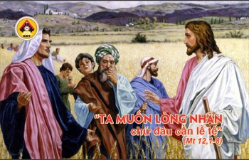 Lời Chúa THỨ SÁU TUẦN 15 THƯỜNG NIÊN
