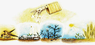 Câu chuyện người đi gieo hạt