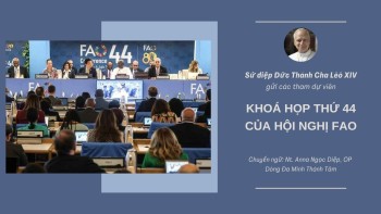 Sứ Điệp Đức Thánh Cha Lêô XIV gửi Tổ chức  (FAO)