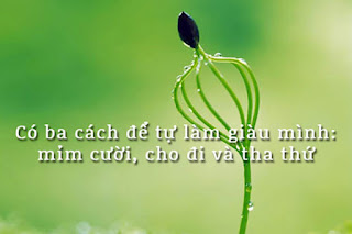 Ký ức, cơn giận và ơn tha thứ