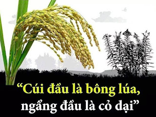 Khiêm nhường