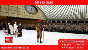 Trực tiếp Buổi Tiếp kiến chung (Thứ Tư 20/8)
