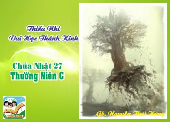 Thiếu Nhi VHTK CN 27 TN C