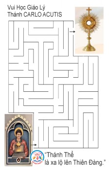 VHGL – Mê cung THÁNH CARLO  ACUTIS 