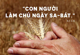 Giữ luật vì điều gi?