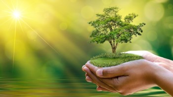 Thần Học Sinh Thái qua Lăng Kính Giáo Hội học