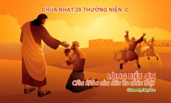 Bài Chia sẻ Chúa nhật 28 Thường niên -C