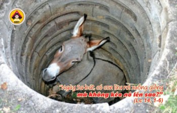 Lời Chúa THỨ SÁU TUẦN 30 THƯỜNG NIÊN