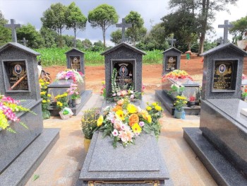 Tự tình chiều nay