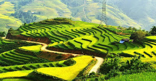 Bài thơ của Đất