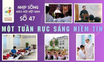 Nhịp sống Giáo hội Việt Nam – Số 47
